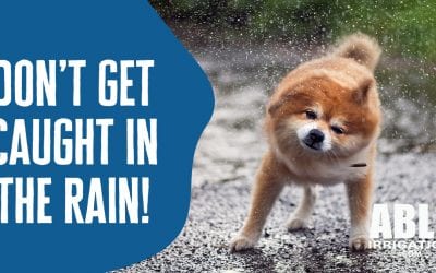 Don’t Get Caught in The Rain!