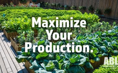 Veggie Garden Drip Irrigaton